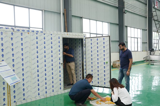 Apricot Drying Plant in Uzbekistan