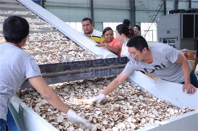 Cassava Dryer