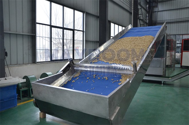 Sunflower Seed Dryer